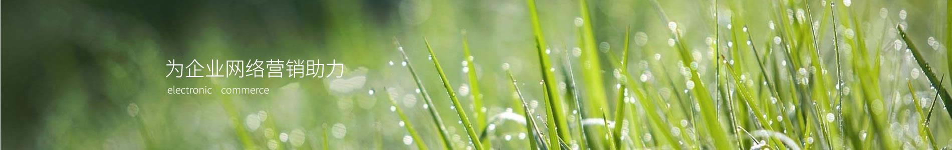 ľʯ޹˾